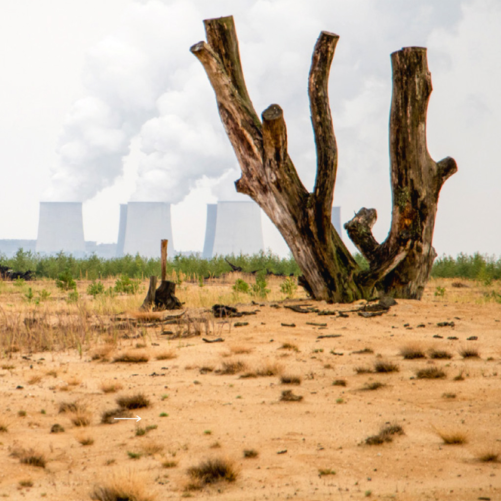Die Innovationsmanager der Taskforce unterstützen Kommunen, Unternehmen und die Zivilgesellschaft im Landkreis Görlitz bei der Bewältigung des Strukturwandels durch den Kohleausstieg